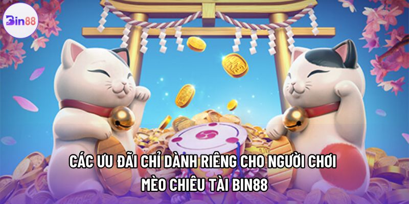 Các ưu đãi chỉ dành riêng cho người chơi mèo chiêu tài bin88 Các ưu đãi chỉ dành riêng cho người chơi mèo chiêu tài bin88