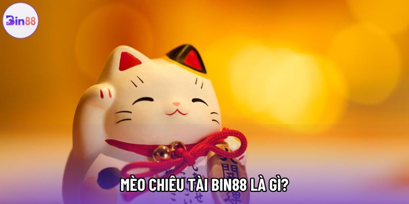 Mèo chiêu tài bin88 là gì? Mèo chiêu tài bin88 là gì?